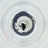  ( - BAYS_009_D10)  @11 [ ] by  Genome Research Ltd as Wellcome Sanger Institute Genome Research Limited operating as Wellcome Sanger Institute