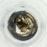  ( - BAYS_009_D4)  @11 [ ] by  Genome Research Ltd as Wellcome Sanger Institute Genome Research Limited operating as Wellcome Sanger Institute