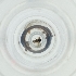  ( - BAYS_009_D9)  @11 [ ] by  Genome Research Ltd as Wellcome Sanger Institute Genome Research Limited operating as Wellcome Sanger Institute
