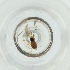  ( - BAYS_009_E1)  @11 [ ] by  Genome Research Ltd as Wellcome Sanger Institute Genome Research Limited operating as Wellcome Sanger Institute