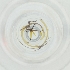 ( - BAYS_010_E11)  @11 [ ] by  Genome Research Ltd as Wellcome Sanger Institute Genome Research Limited operating as Wellcome Sanger Institute