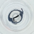  ( - BAYS_010_F9)  @11 [ ] by  Genome Research Ltd as Wellcome Sanger Institute Genome Research Limited operating as Wellcome Sanger Institute