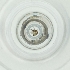  ( - BAYS_012_A9)  @11 [ ] by  Genome Research Ltd as Wellcome Sanger Institute Genome Research Limited operating as Wellcome Sanger Institute