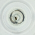  ( - BAYS_012_H1)  @11 [ ] by  Genome Research Ltd as Wellcome Sanger Institute Genome Research Limited operating as Wellcome Sanger Institute