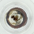  ( - BAYS_013_D3)  @11 [ ] by  Genome Research Ltd as Wellcome Sanger Institute Genome Research Limited operating as Wellcome Sanger Institute