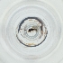  ( - BAYS_015_B10)  @11 [ ] by  Genome Research Ltd as Wellcome Sanger Institute Genome Research Limited operating as Wellcome Sanger Institute