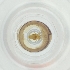  ( - BAYS_015_H9)  @11 [ ] by  Genome Research Ltd as Wellcome Sanger Institute Genome Research Limited operating as Wellcome Sanger Institute