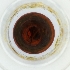  ( - BAYS_016_E4)  @11 [ ] by  Genome Research Ltd as Wellcome Sanger Institute Genome Research Limited operating as Wellcome Sanger Institute