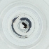  ( - BAYS_017_A1)  @11 [ ] by  Genome Research Ltd as Wellcome Sanger Institute Genome Research Limited operating as Wellcome Sanger Institute