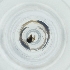  ( - BAYS_017_B2)  @11 [ ] by  Genome Research Ltd as Wellcome Sanger Institute Genome Research Limited operating as Wellcome Sanger Institute