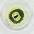  ( - BAYS_018_D12)  @11 [ ] by  Genome Research Ltd as Wellcome Sanger Institute Genome Research Limited operating as Wellcome Sanger Institute