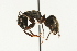  ( - 08BBANT-015)  @14 [ ] CreativeCommons - Attribution (2010) Unspecified Centre for Biodiversity Genomics
