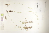  ( - CCDB-25848-B11)  @11 [ ] CreativeCommons - Attribution (2019) CBG Photography Group Centre for Biodiversity Genomics