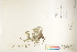  ( - CCDB-25848-H09)  @11 [ ] CreativeCommons - Attribution (2019) CBG Photography Group Centre for Biodiversity Genomics