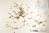  ( - CCDB-25848-H10)  @11 [ ] CreativeCommons - Attribution (2019) CBG Photography Group Centre for Biodiversity Genomics