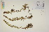 ( - CCDB-34695-B05)  @11 [ ] CreativeCommons - Attribution (2019) CBG Photography Group Centre for Biodiversity Genomics