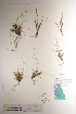  ( - CCDB-34697-E03)  @11 [ ] CreativeCommons - Attribution (2019) CBG Photography Group Centre for Biodiversity Genomics