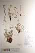  ( - CCDB-34697-H05)  @11 [ ] CreativeCommons - Attribution (2019) CBG Photography Group Centre for Biodiversity Genomics