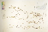  ( - CCDB-25848-D05)  @11 [ ] CreativeCommons - Attribution (2019) CBG Photography Group Centre for Biodiversity Genomics
