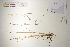  ( - CCDB-25848-D06)  @11 [ ] CreativeCommons - Attribution (2019) CBG Photography Group Centre for Biodiversity Genomics