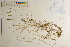  ( - CCDB-25848-D07)  @11 [ ] CreativeCommons - Attribution (2019) CBG Photography Group Centre for Biodiversity Genomics