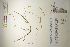  ( - CCDB-25848-D08)  @11 [ ] CreativeCommons - Attribution (2019) CBG Photography Group Centre for Biodiversity Genomics