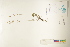  ( - CCDB-25848-H02)  @11 [ ] CreativeCommons - Attribution (2019) CBG Photography Group Centre for Biodiversity Genomics