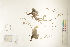  ( - CCDB-25848-H06)  @11 [ ] CreativeCommons - Attribution (2019) CBG Photography Group Centre for Biodiversity Genomics