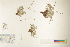  ( - CCDB-25848-H07)  @11 [ ] CreativeCommons - Attribution (2019) CBG Photography Group Centre for Biodiversity Genomics