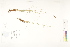  ( - CCDB-25849-B04)  @11 [ ] CreativeCommons - Attribution (2019) CBG Photography Group Centre for Biodiversity Genomics