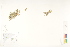  ( - CCDB-25849-D02)  @11 [ ] CreativeCommons - Attribution (2019) CBG Photography Group Centre for Biodiversity Genomics