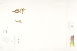  ( - CCDB-25849-D04)  @11 [ ] CreativeCommons - Attribution (2019) CBG Photography Group Centre for Biodiversity Genomics