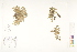  ( - CCDB-25849-D05)  @11 [ ] CreativeCommons - Attribution (2019) CBG Photography Group Centre for Biodiversity Genomics
