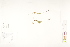  ( - CCDB-25849-E08)  @11 [ ] CreativeCommons - Attribution (2019) CBG Photography Group Centre for Biodiversity Genomics