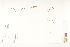 ( - CCDB-25849-G01)  @11 [ ] CreativeCommons - Attribution (2019) CBG Photography Group Centre for Biodiversity Genomics