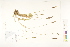 ( - CCDB-25849-G05)  @11 [ ] CreativeCommons - Attribution (2019) CBG Photography Group Centre for Biodiversity Genomics