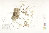  ( - CCDB-25850-D03)  @11 [ ] CreativeCommons - Attribution (2019) CBG Photography Group Centre for Biodiversity Genomics