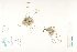  ( - CCDB-25850-E03)  @11 [ ] CreativeCommons - Attribution (2019) CBG Photography Group Centre for Biodiversity Genomics