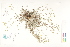  ( - CCDB-25850-F03)  @11 [ ] CreativeCommons - Attribution (2019) CBG Photography Group Centre for Biodiversity Genomics