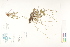  ( - CCDB-25850-G03)  @11 [ ] CreativeCommons - Attribution (2019) CBG Photography Group Centre for Biodiversity Genomics