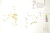  ( - CCDB-34697-A03)  @11 [ ] CreativeCommons - Attribution (2019) CBG Photography Group Centre for Biodiversity Genomics