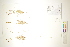  ( - CCDB-34697-E01)  @11 [ ] CreativeCommons - Attribution (2019) CBG Photography Group Centre for Biodiversity Genomics