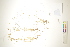  ( - CCDB-34697-E02)  @11 [ ] CreativeCommons - Attribution (2019) CBG Photography Group Centre for Biodiversity Genomics