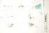 ( - CCDB-34697-E03)  @11 [ ] CreativeCommons - Attribution (2019) CBG Photography Group Centre for Biodiversity Genomics
