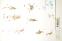  ( - CCDB-34697-E05)  @11 [ ] CreativeCommons - Attribution (2019) CBG Photography Group Centre for Biodiversity Genomics
