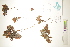  ( - CCDB-34697-F03)  @11 [ ] CreativeCommons - Attribution (2019) CBG Photography Group Centre for Biodiversity Genomics