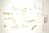  ( - CCDB-34697-H02)  @11 [ ] CreativeCommons - Attribution (2019) CBG Photography Group Centre for Biodiversity Genomics