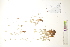  ( - CCDB-34697-H05)  @11 [ ] CreativeCommons - Attribution (2019) CBG Photography Group Centre for Biodiversity Genomics