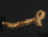 ( - BIOUG12670-A09)  @11 [ ] CreativeCommons - Attribution (2014) CBG Photography Group Centre for Biodiversity Genomics