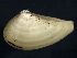  ( - BIOUG12670-B08)  @14 [ ] CreativeCommons - Attribution (2014) CBG Photography Group Centre for Biodiversity Genomics
